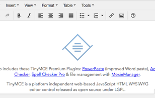 TinyMCE.js: WYSIWYG Text editor